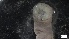 ( - G21-SW14-E083)  @11 [ ] C (2022) Unspecified Biologica Environmental Services