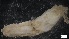  ( - G20-X-E075)  @11 [ ] C (2022) Unspecified Biologica Environmental Services