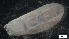  ( - G20-X-E076)  @11 [ ] C (2022) Unspecified Biologica Environmental Services