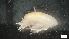  ( - G21-SE2-A164)  @11 [ ] C (2022) Unspecified Biologica Environmental Services