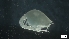  ( - G21-SE4-A92)  @11 [ ] C (2022) Unspecified Biologica Environmental Services