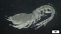  ( - G21-SW6-A105)  @11 [ ] C (2022) Unspecified Biologica Environmental Services