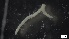  ( - G21-X-P380)  @11 [ ] C (2344) Unspecified Biologica Environmental Services