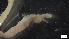  ( - G21-X-P401)  @11 [ ] C (2408) Unspecified Biologica Environmental Services