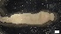  ( - G21-X-P402)  @11 [ ] C (2411) Unspecified Biologica Environmental Services