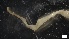  ( - G21-X-P402)  @11 [ ] C (2412) Unspecified Biologica Environmental Services