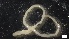  ( - G21-X-P403)  @11 [ ] C (2413) Unspecified Biologica Environmental Services