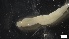  ( - G21-X-P403)  @11 [ ] C (2414) Unspecified Biologica Environmental Services