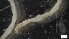  ( - G21-X-P403)  @11 [ ] C (2415) Unspecified Biologica Environmental Services