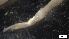  ( - G21-X-P404)  @11 [ ] C (2418) Unspecified Biologica Environmental Services