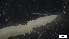  ( - G21-X-P405)  @11 [ ] C (2420) Unspecified Biologica Environmental Services