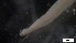  ( - G21-X-P405)  @11 [ ] C (2421) Unspecified Biologica Environmental Services