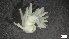  ( - LHA22-X-P448)  @11 [ ] C (2520) Unspecified Biologica Environmental Services