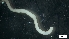  ( - MV18-18-6-MI108)  @11 [ ] C (2022) Unspecified Unspecified