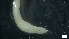 ( - MV18-18-6-MI108)  @11 [ ] C (2022) Unspecified Unspecified