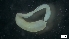  ( - MV18-18-6-MI109)  @11 [ ] C (2022) Unspecified Unspecified