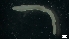  ( - MV19-45-6-MI115)  @11 [ ] C (2022) Unspecified Unspecified