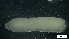  ( - MV19-x-MI122)  @11 [ ] C (2022) Unspecified Unspecified