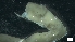  ( - MV19-x-MI125)  @11 [ ] C (2022) Unspecified Unspecified