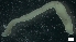  ( - MV19-x-MI128)  @11 [ ] C (2022) Unspecified Unspecified
