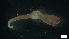  ( - MV19-x-MI134)  @11 [ ] C (2022) Unspecified Unspecified