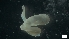  ( - MV19-x-MI140)  @11 [ ] C (2022) Unspecified Unspecified