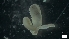  ( - MV19-x-MI140)  @11 [ ] C (2022) Unspecified Unspecified