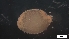  ( - MV21-IO-A194)  @11 [ ] C (2022) Unspecified Biologica Environmental Services