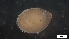  ( - MV21-IO-A195)  @11 [ ] C (2022) Unspecified Biologica Environmental Services