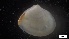  ( - MV21-IO-M093)  @11 [ ] C (2022) Unspecified Biologica Environmental Services