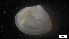  ( - MV21-IO-M093)  @11 [ ] C (2022) Unspecified Biologica Environmental Services