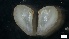  ( - MV21-IO-M111)  @11 [ ] C (2022) Unspecified Biologica Environmental Services