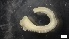  ( - MV21-IO-P028)  @11 [ ] C (2534) Unspecified Biologica Environmental Services
