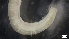  ( - MV21-IO-P028)  @11 [ ] C (2537) Unspecified Biologica Environmental Services