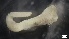  ( - MV21-IO-P029)  @11 [ ] C (2538) Unspecified Biologica Environmental Services