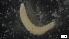  ( - MV21-IO-P242)  @11 [ ] C (2022) Unspecified Biologica Environmental Services