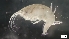 ( - MV21-LG-A153)  @11 [ ] C (2022) Unspecified Biologica Environmental Services