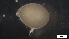  ( - MV21-LG-A196)  @11 [ ] C (2022) Unspecified Biologica Environmental Services