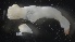  ( - MV21-LG-M027)  @11 [ ] C (2022) Unspecified Biologica Environmental Services