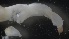  ( - MV21-LG-M027)  @11 [ ] C (2022) Unspecified Biologica Environmental Services