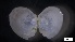  ( - MV21-LG-M090)  @11 [ ] C (2022) Unspecified Biologica Environmental Services