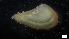  ( - MV21-LG-M112)  @11 [ ] C (2022) Unspecified Biologica Environmental Services