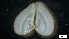  ( - MV21-LG-M112)  @11 [ ] C (2022) Unspecified Biologica Environmental Services