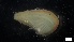  ( - MV21-LG-M113)  @11 [ ] C (2022) Unspecified Biologica Environmental Services