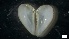  ( - MV21-LG-M113)  @11 [ ] C (2022) Unspecified Biologica Environmental Services