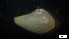  ( - MV21-LG-M114)  @11 [ ] C (2022) Unspecified Biologica Environmental Services