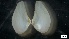  ( - MV21-LG-M114)  @11 [ ] C (2022) Unspecified Biologica Environmental Services