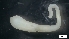  ( - MV21-LG-MI77)  @11 [ ] C (2022) Unspecified Unspecified
