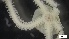  ( - MV21-LG-E025)  @11 [ ] C (2022) Unspecified Biologica Environmental Services