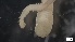  ( - MV21-LG-P030)  @11 [ ] C (2022) Unspecified Biologica Environmental Services